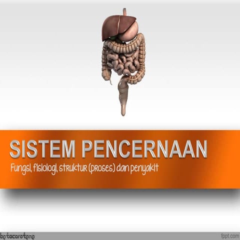 SISTEM PENCERNAAN MAKANAN