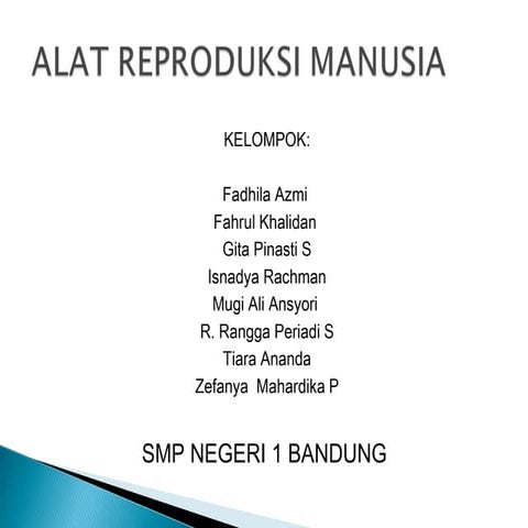 Sistem reproduksi  manusia