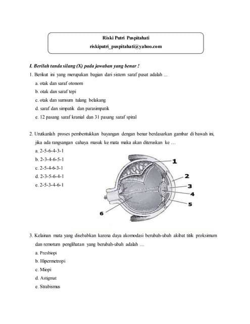 Contoh Soal Sistem Saraf