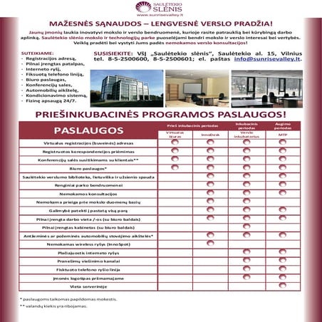 Virtualaus biuro ir verslo inkubatoriaus skelbimas (2010).