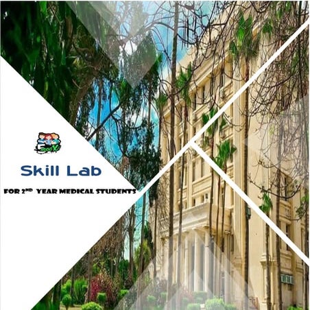 Skill lab