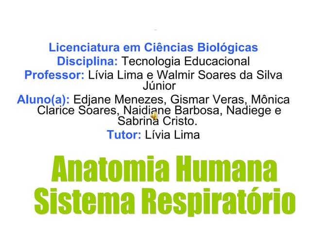Slide Anatomia Humana