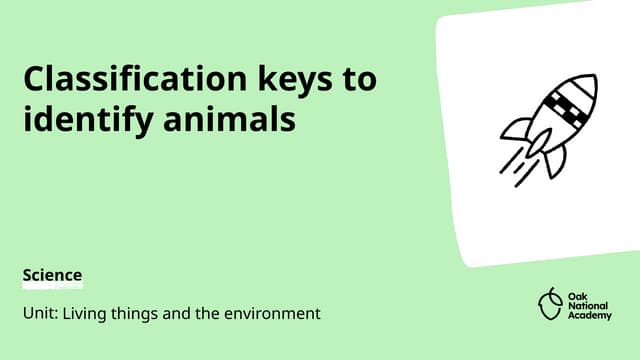 classification keys to identify animals - science