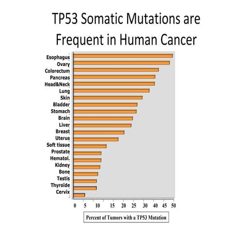 Giovanni Blandino: geni e tumori