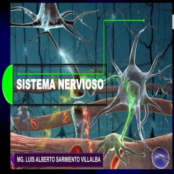 SISTEMA NERVIOSO Y CEREBRO