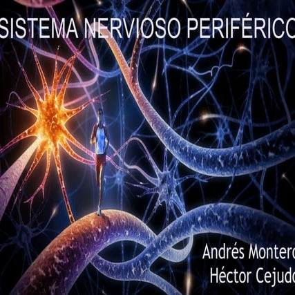 Sistema Nervioso Periférico