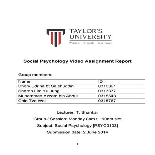 Social psychology video assignment report