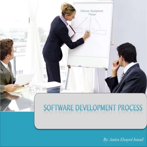 Software Development Process