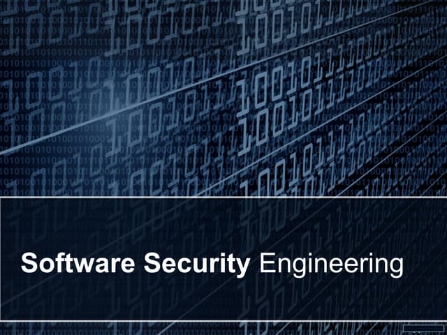 Software security engineering