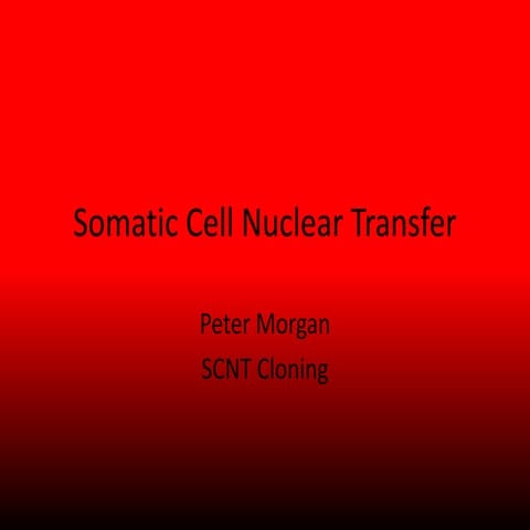 Somatic cell nuclear transfer ppt