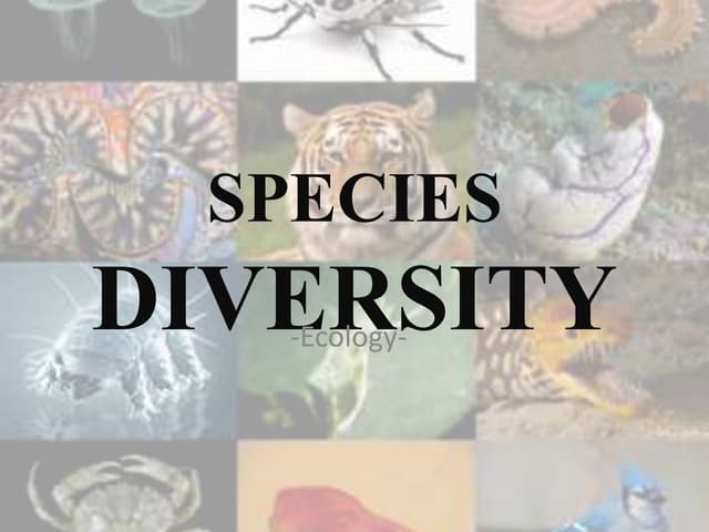 Species diversity