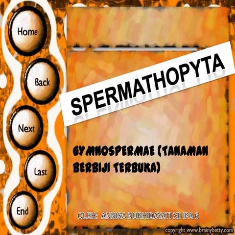 Spermathopyta