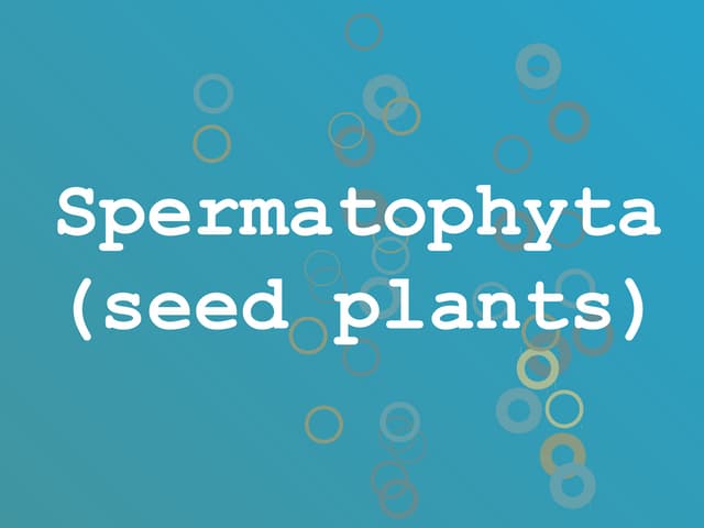 Spermatophyta