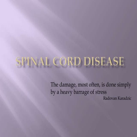 Spinal Cord Disease