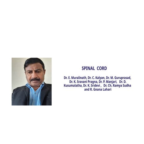 Spinal cord_tracts_structure_functions_importance