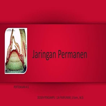 Jaringan Permanen