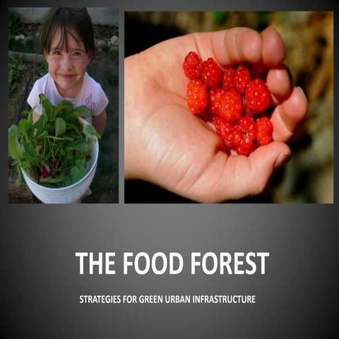 Food Forest Design: Strategies for Green Urban Infrastructure