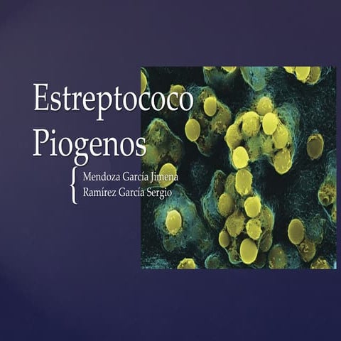 Streptococcus pyogenes