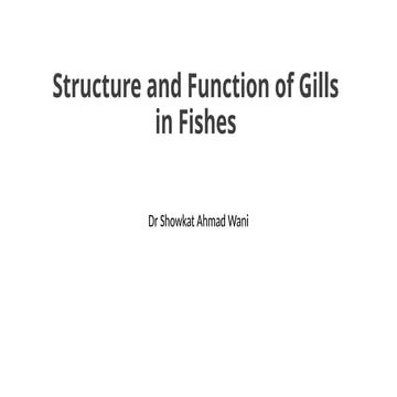 Structure and functions of gills in fishes.pptx