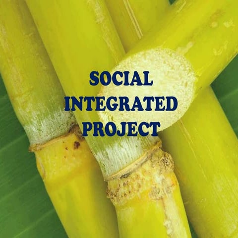 Sugarcane industry