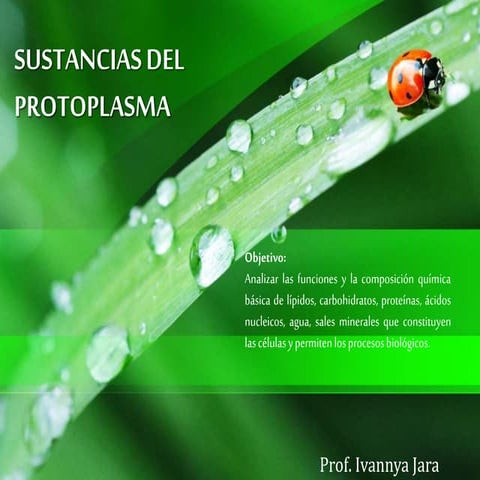 Sustanc. del protoplasma