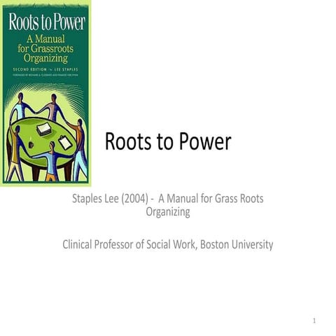 Swk1048 Community organising theory