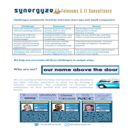 Synergyze whitepaper