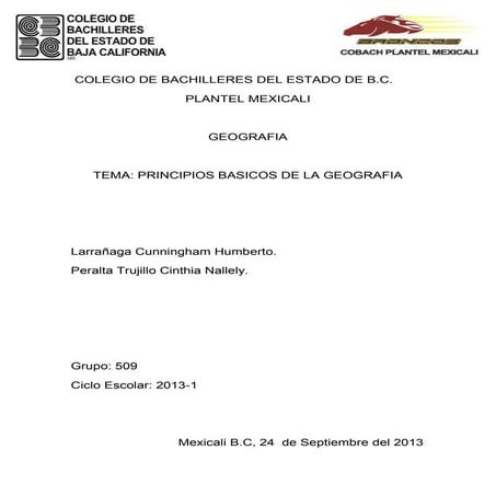 T 1 principios de la geografia