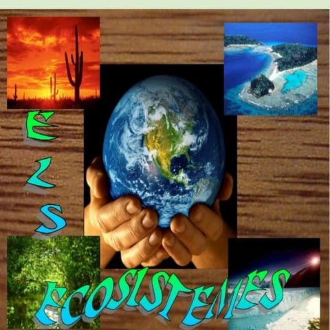 ECOSISTEMES
