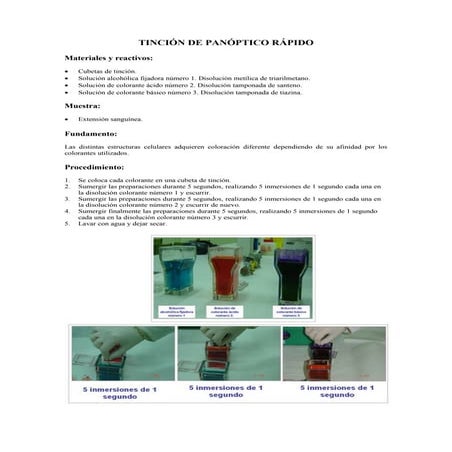 Protocolos de realización de las tinciones hematológicas.