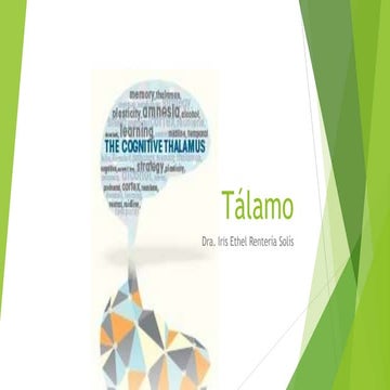 UVM Sistema Nervioso Sesión 04 Talamo