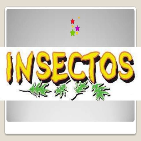 Taxonomia insectos