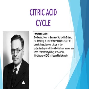 Tca cycle by  shakthi sasmita (biochemist)