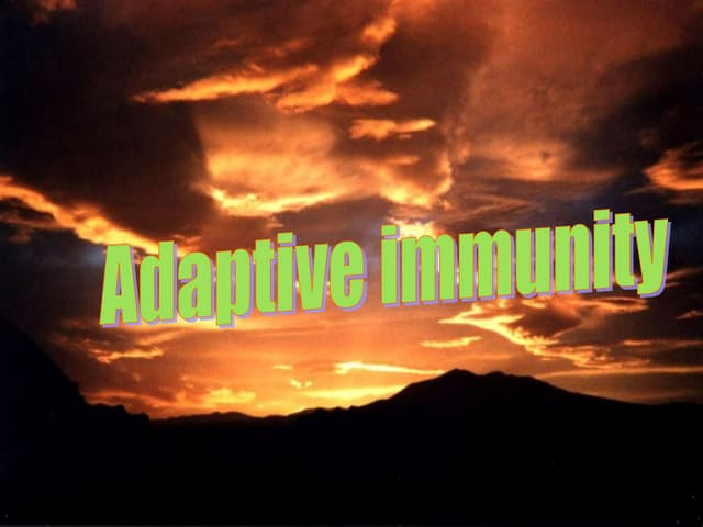 Adaptive immunity  
