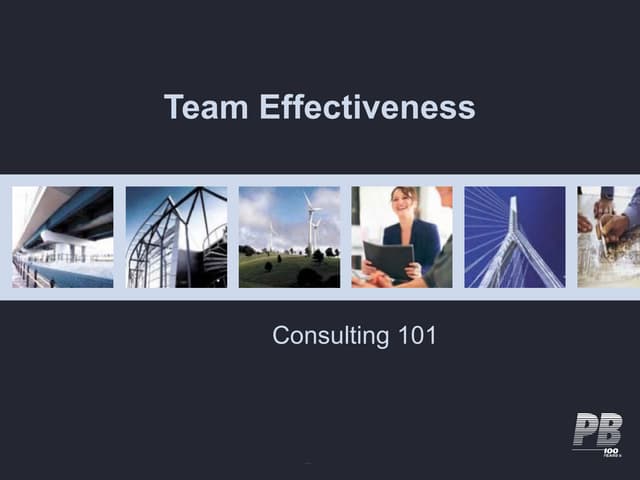 Team Effectiveness