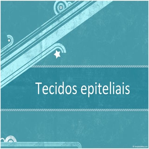 Tecido epitelial