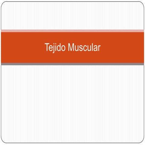 Tejido muscular r. del Ross
