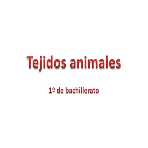 Tejidos animales