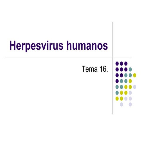 Tema 16. herpesvirus humanos