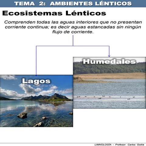 Tema 2   ecosistemas lénticos