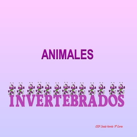 Tema 3 LOS INVERTEBRADOS