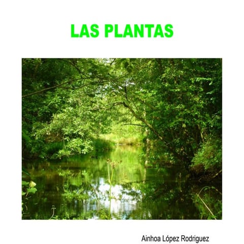 Tema 4. Plantas