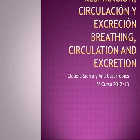 Tema 4. conocimiento