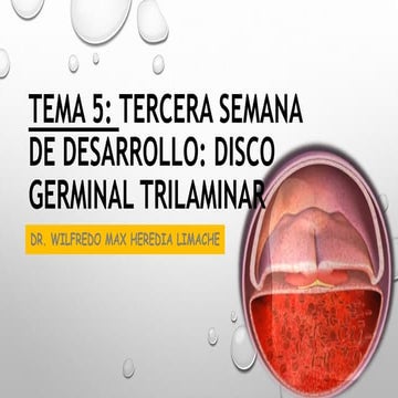TEMA 5. TERCERA SEMANA DE DESARROLLO.pdf