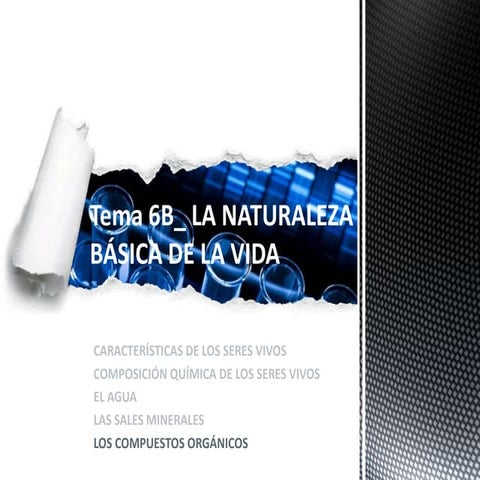Tema 6 b naturaleza básica de la vida_compuestos orgánicos