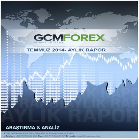 Temmuz 2014 - Aylık Piyasa Raporu
