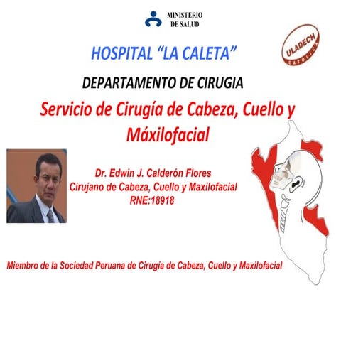 ANATOMIA DE LA CAVIDAD ORAL