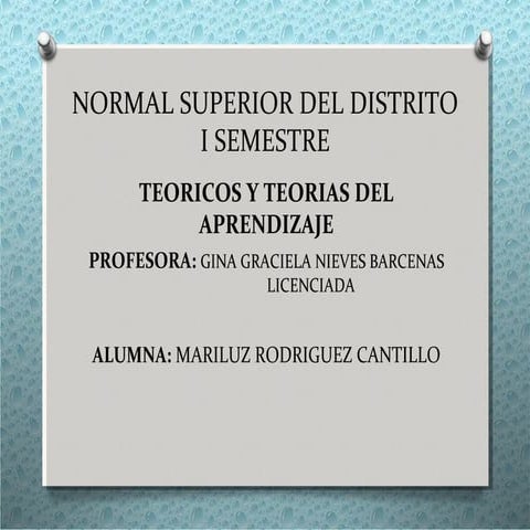 Teoria del aprendizaje