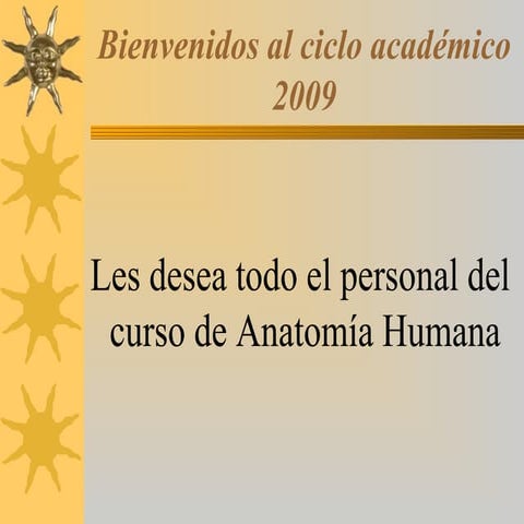 Anatomía - Terminología Ejes y Planos