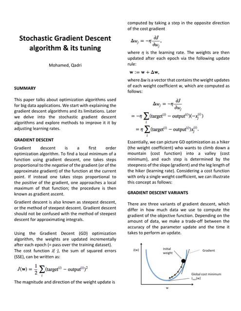 Stochastic gradient descent and its tuning